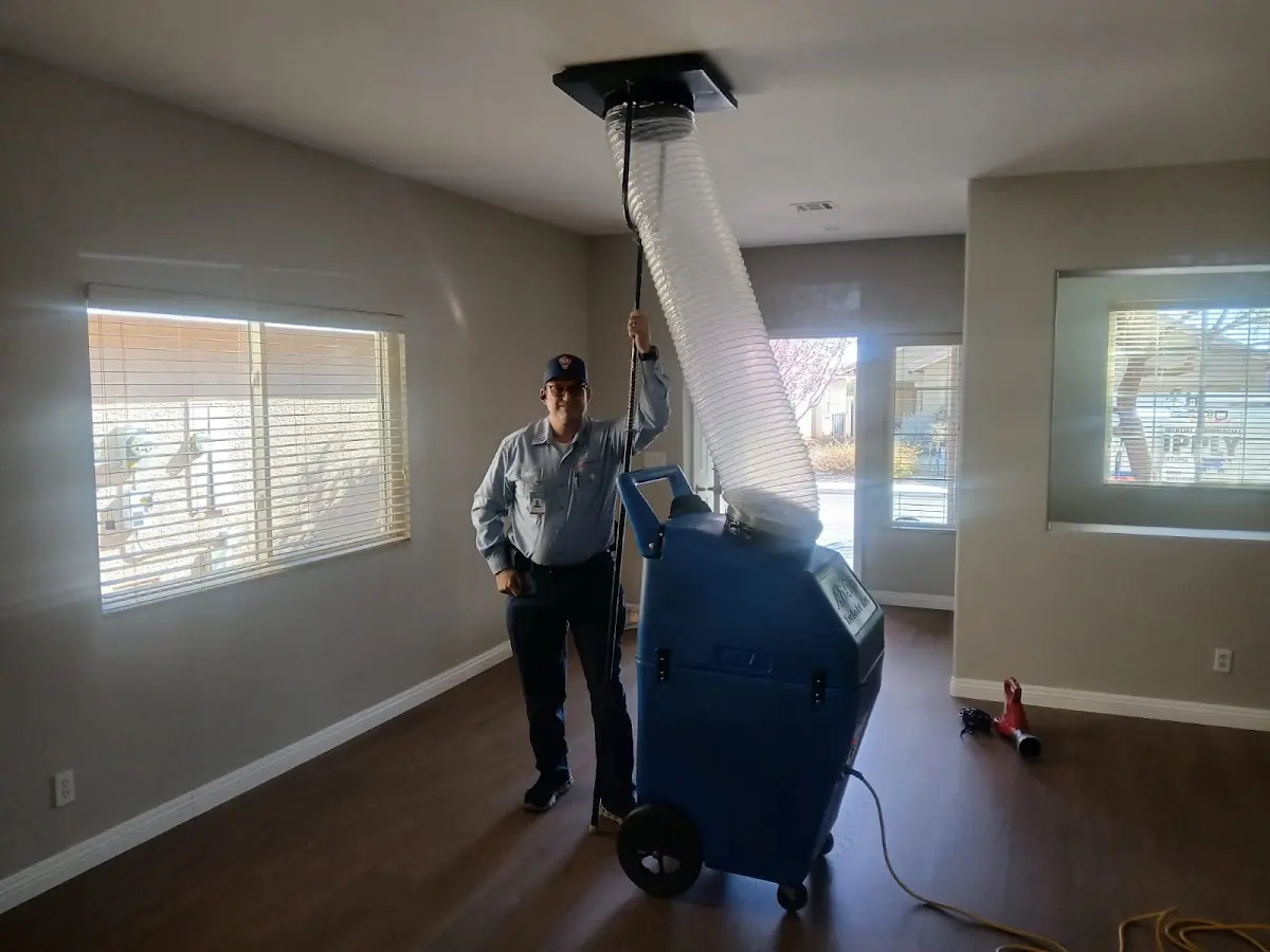 Professional Dryer Vent Cleaning work inside a Tontitown home